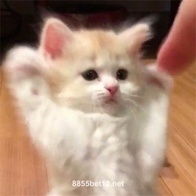 Avatar do jogador Pedro